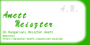 anett meiszter business card